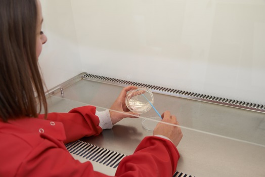 Woman looking at petri dish in the laboratory