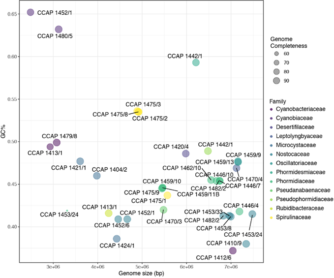 Figure 1: . Size and GC% of the CCAP genome-assembled Cyanobacteria.  Each strain is coloured according to their taxonomic group and genome completeness. GTDB-TK and CheckM were used to infer taxonomy and genome completion, respectively.