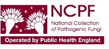 NCPF logo